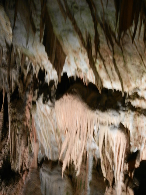 DSCN8650.JPG