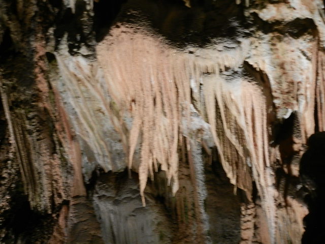DSCN8651.JPG