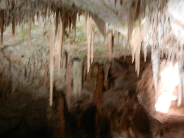 DSCN8656.JPG