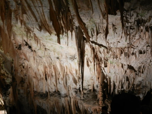 DSCN8658.JPG
