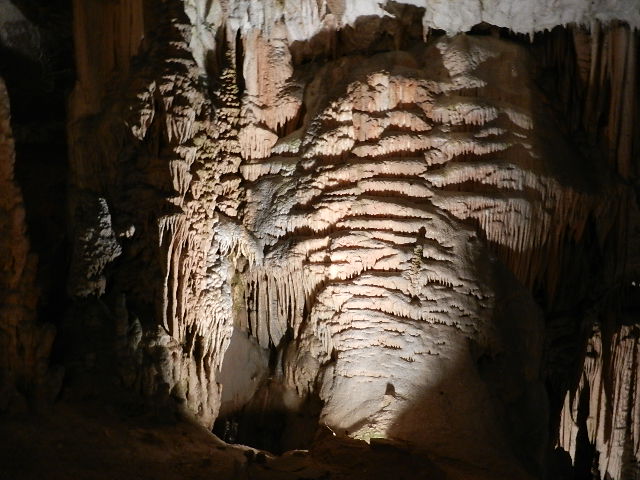 DSCN8659.JPG