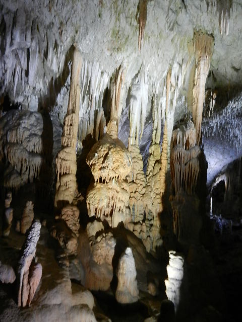 DSCN8664.JPG