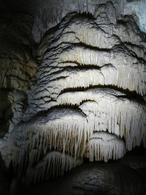 DSCN8669.JPG