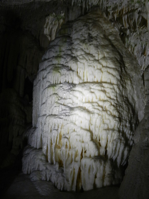 DSCN8672.JPG