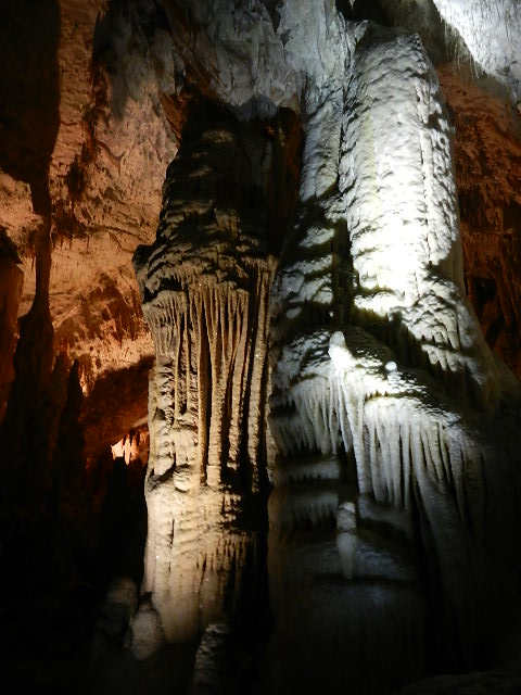 DSCN8677.JPG
