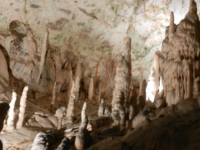 DSCN8681.JPG