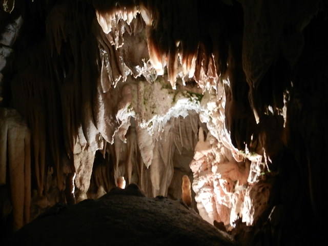 DSCN8683.JPG