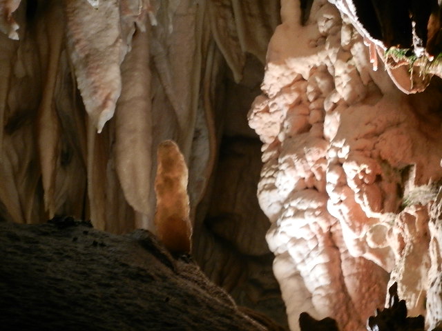 DSCN8685.JPG