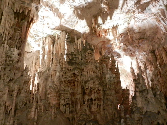 DSCN8686.JPG