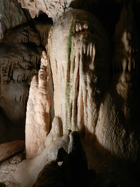 DSCN8691.JPG