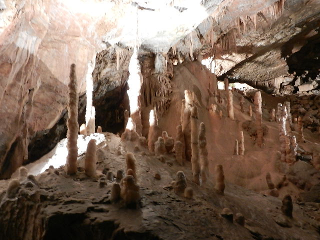 DSCN8693.JPG