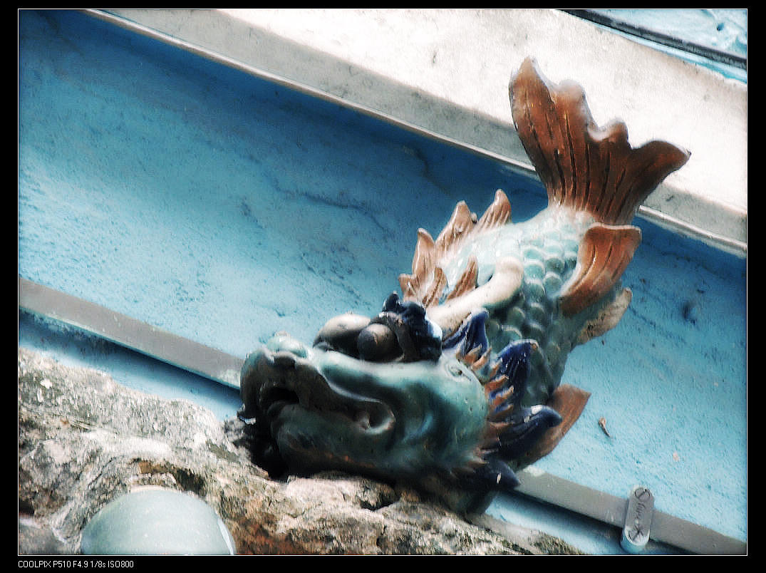 DSCN0632.jpg