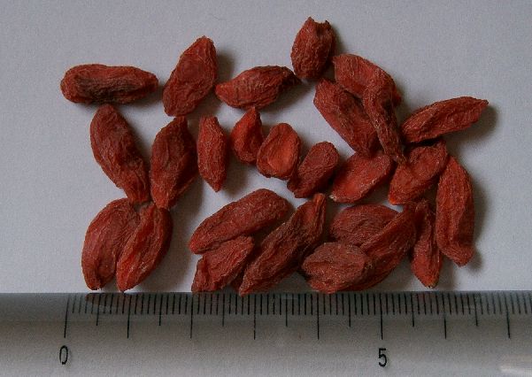 干枸杞Dried_wolfberries.jpg