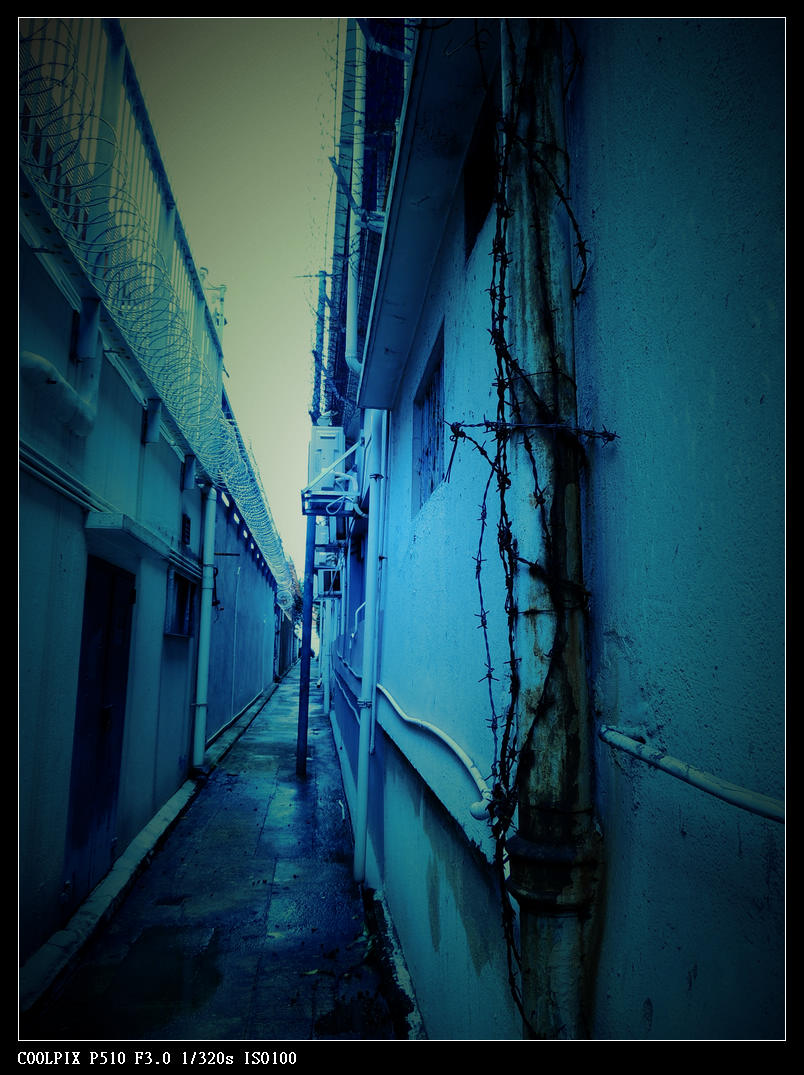 DSCN0759.jpg
