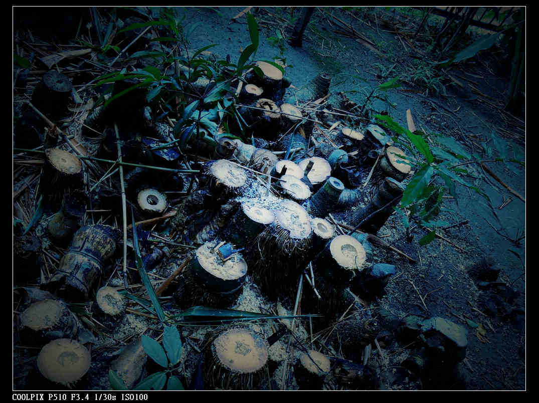 DSCN0816.jpg