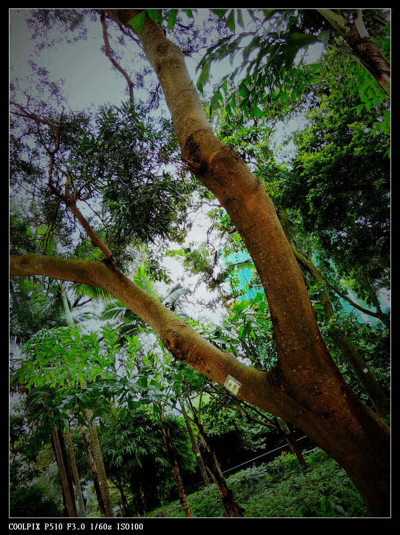 DSCN0825.jpg