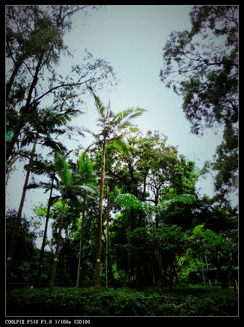 DSCN0824.jpg