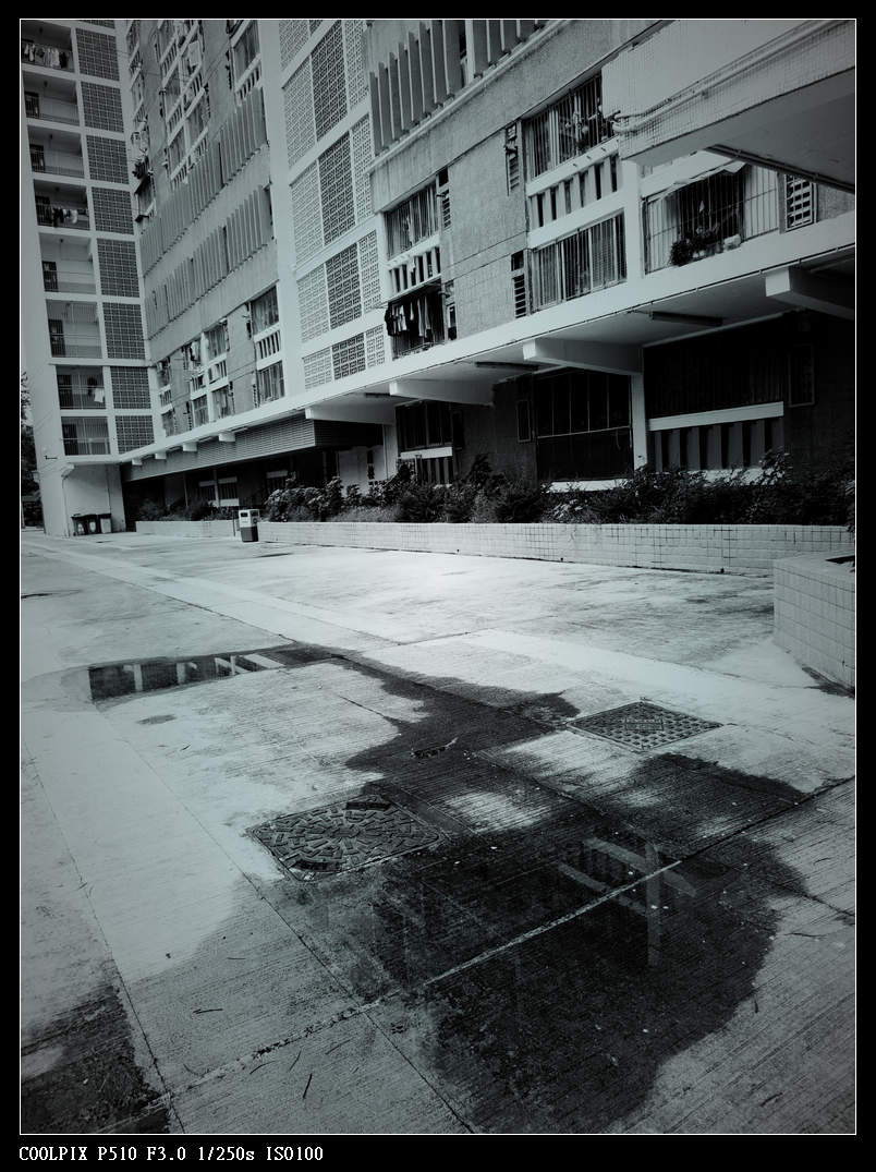 DSCN0826.jpg