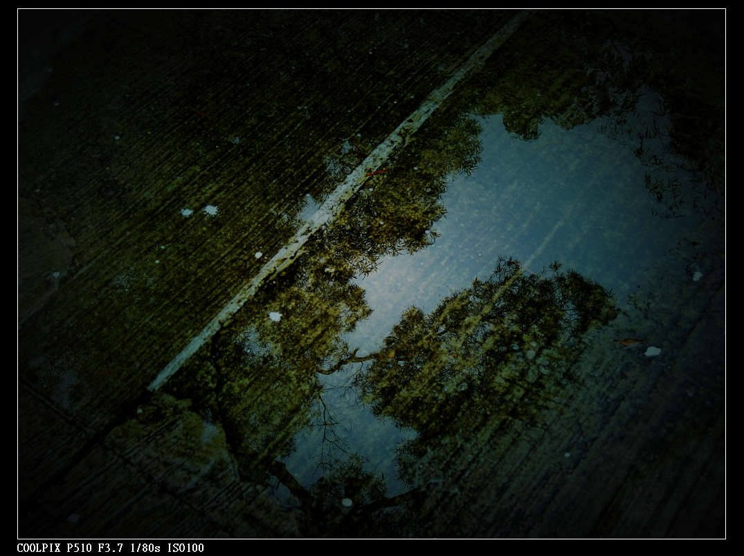 DSCN0828.jpg