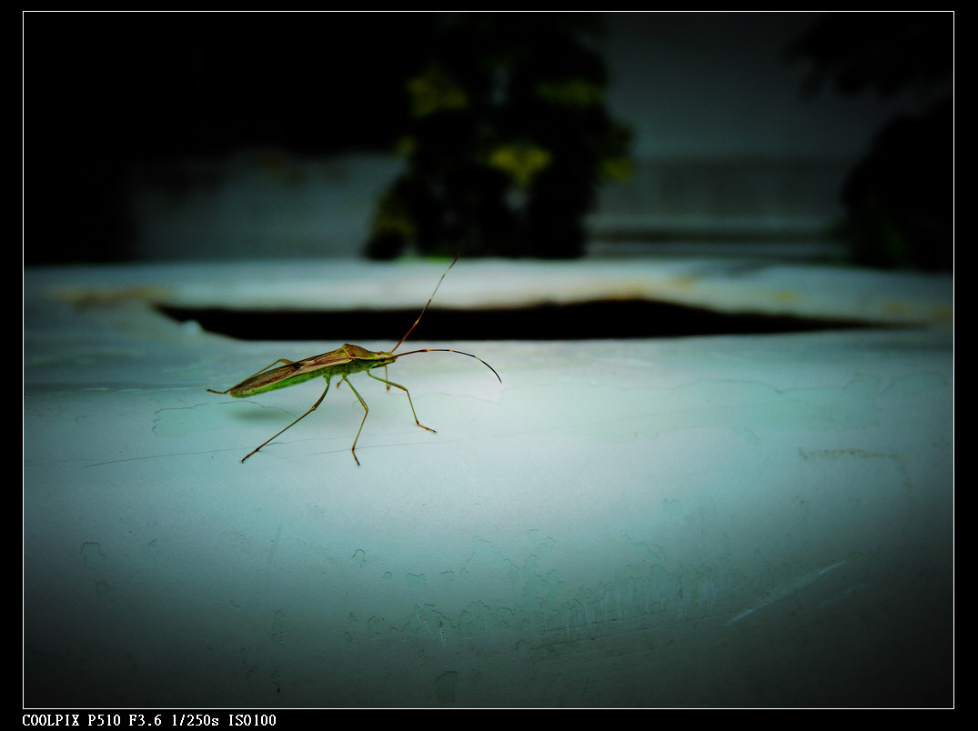 DSCN0829.jpg