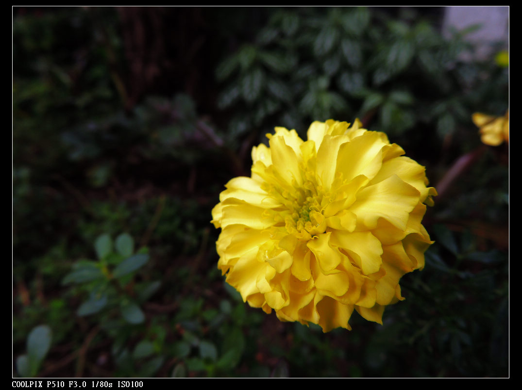 DSCN0841.jpg