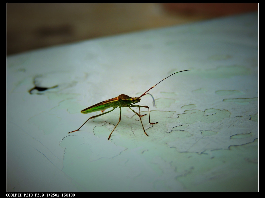 DSCN0833.jpg