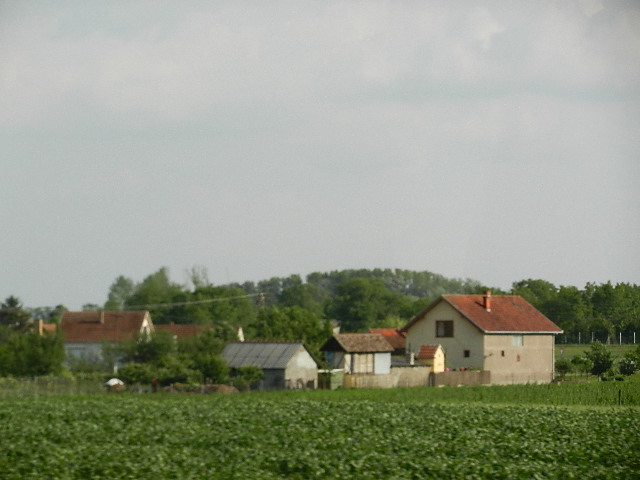 DSCN9470.JPG
