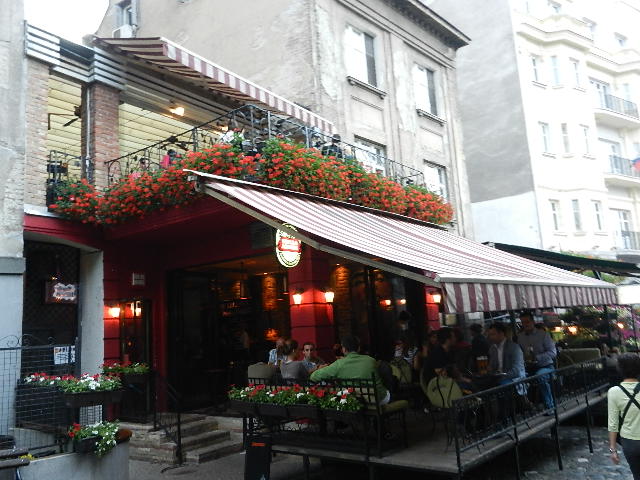 DSCN9536.JPG