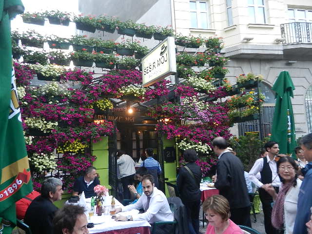 DSCN9539.JPG