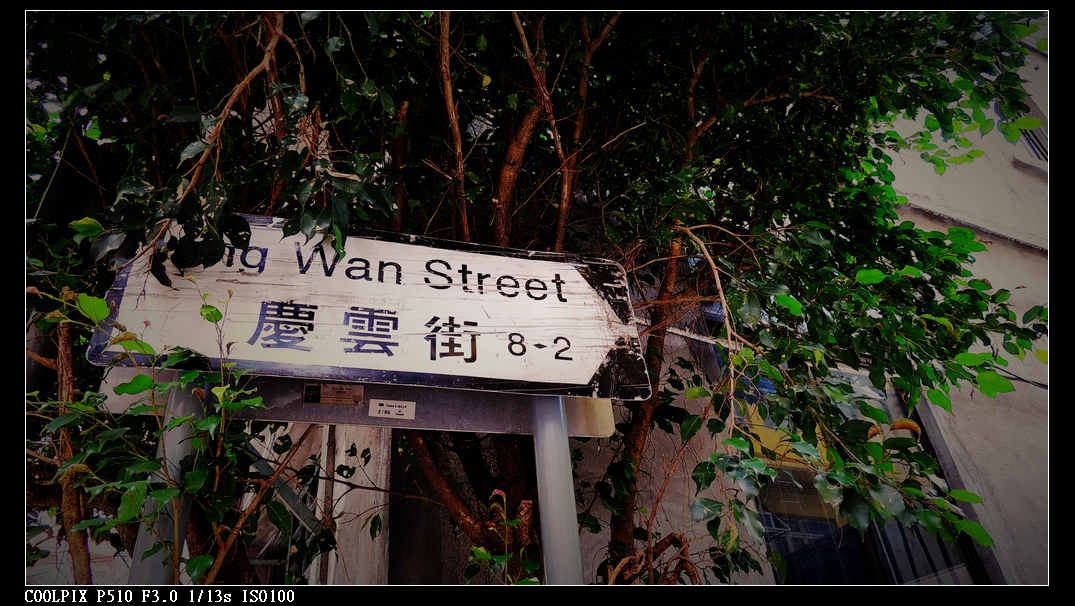 DSCN0978.jpg