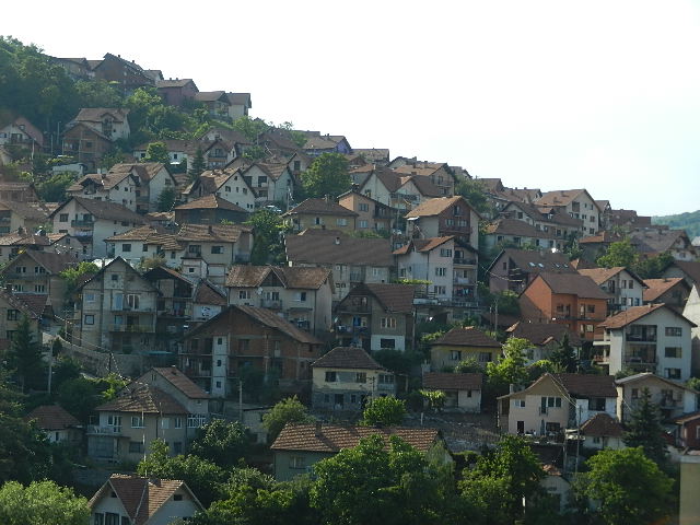 DSCN9772.JPG