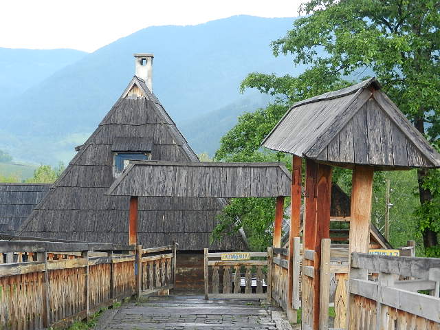 DSCN9788.JPG