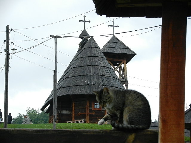 DSCN9798.JPG