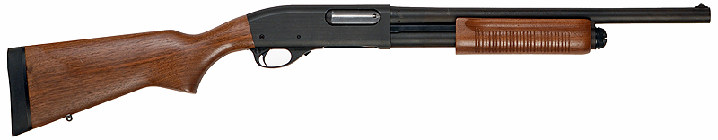 S008.jpg