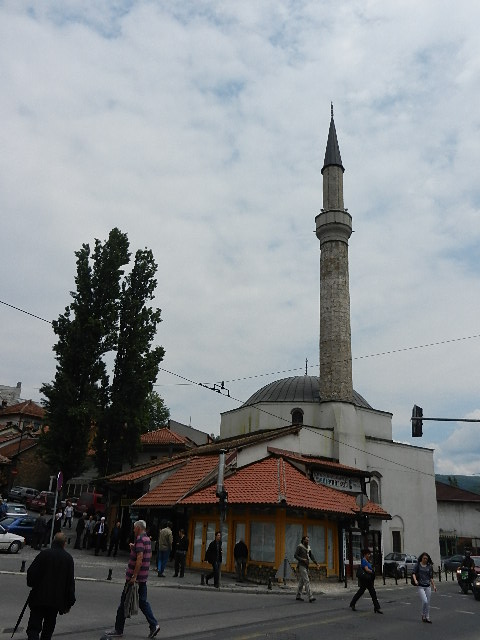 DSCN0011.JPG