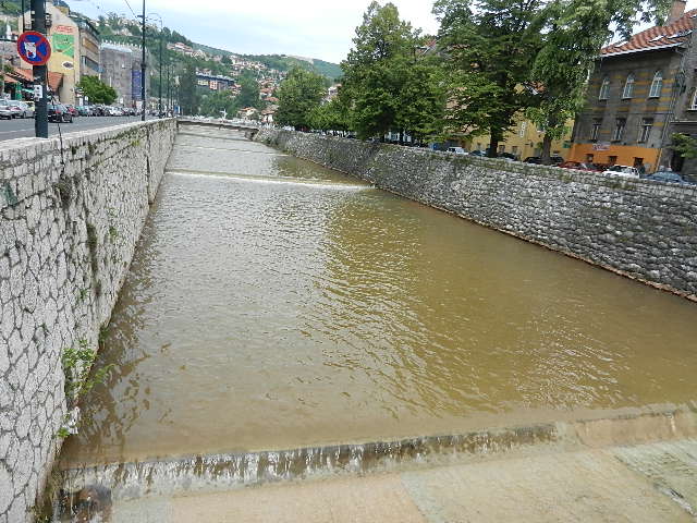 DSCN0088.JPG