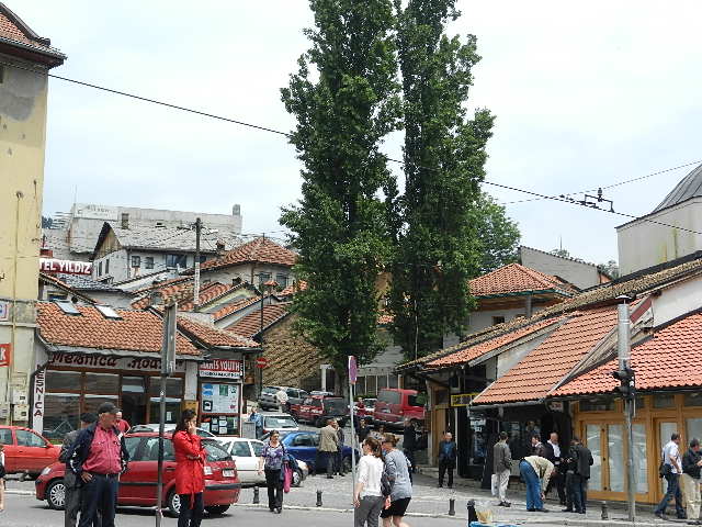 DSCN0010.JPG