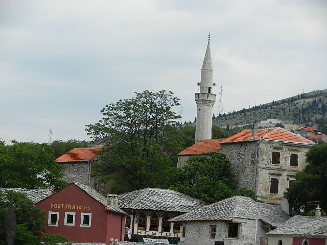 DSCN0349.JPG