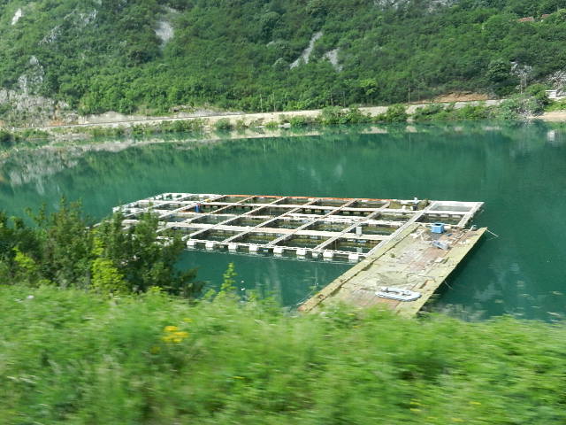 DSCN0262.JPG