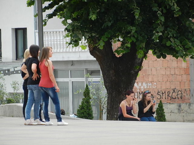 DSCN0313.JPG