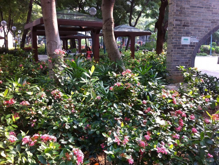 DSC0004654.jpg