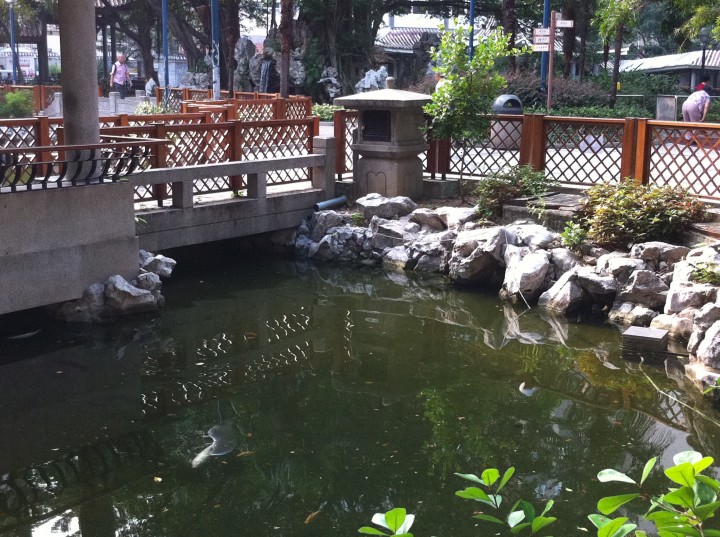 DSC0004770.jpg