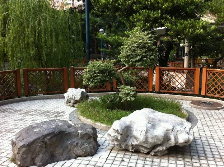 DSC0004789.jpg