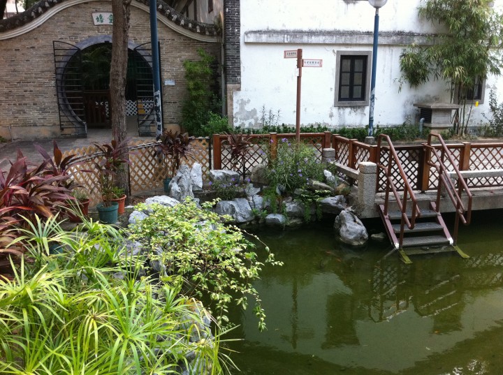 DSC0004802.jpg