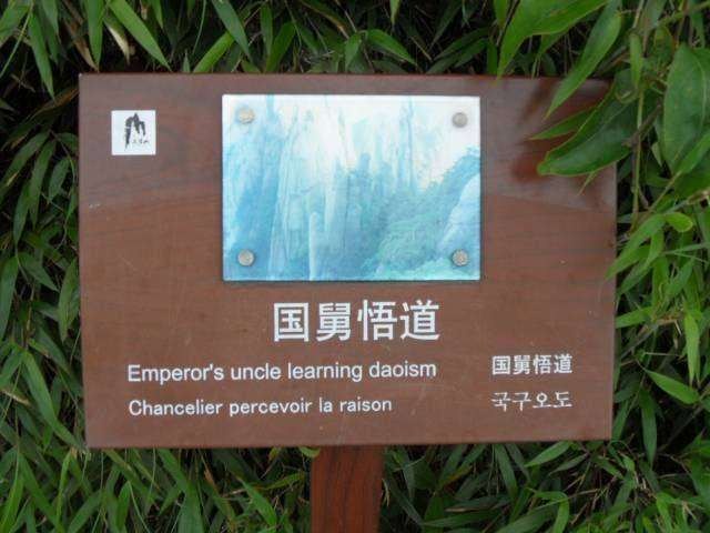 SAM_4789 (複製).JPG