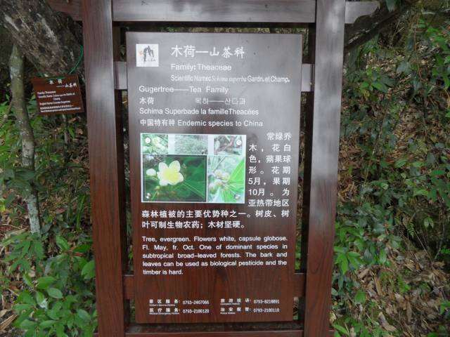 SAM_4826 - 複製.JPG