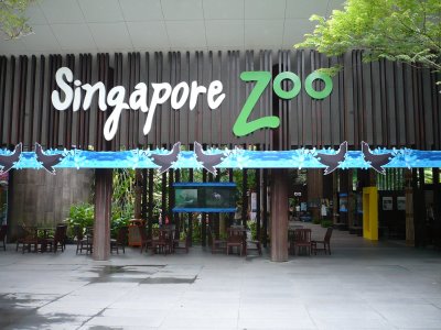 Singapore-Zoo.jpg