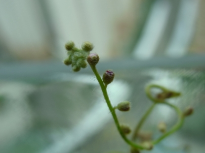m003.jpg