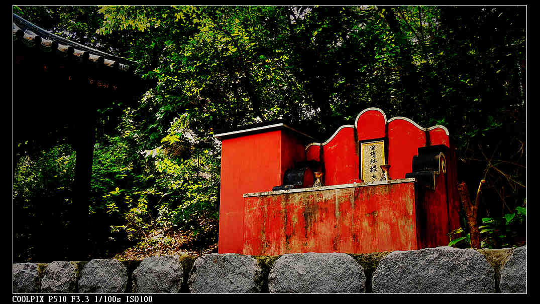 DSCN1251.jpg