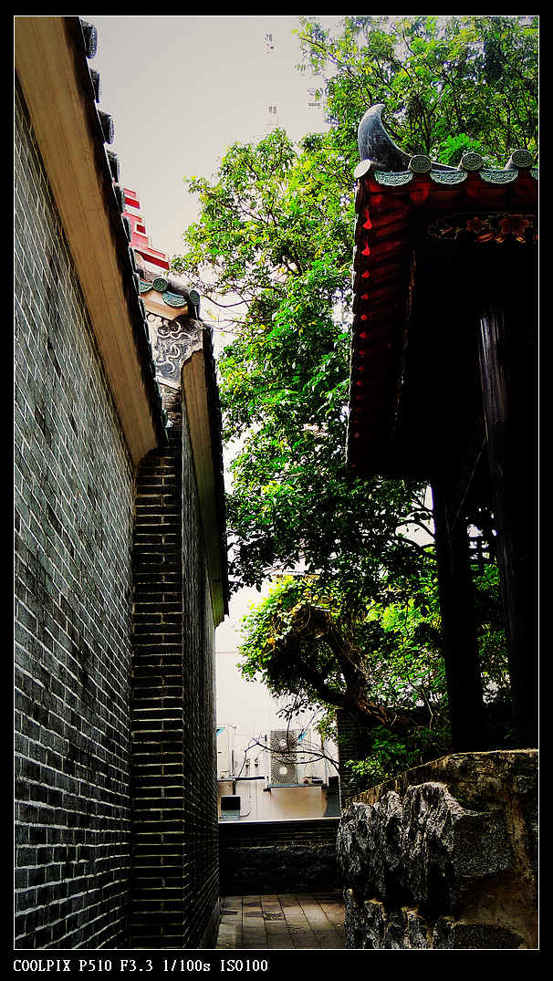 DSCN1254.jpg